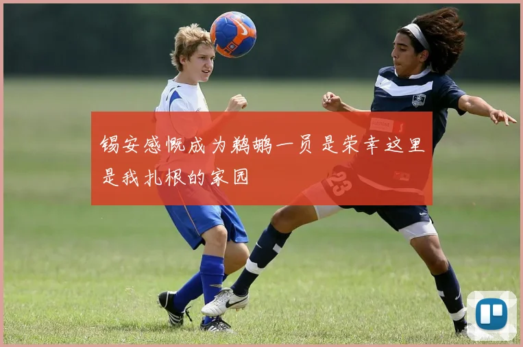 锡安感慨成为鹈鹕一员是荣幸这里是我扎根的家园