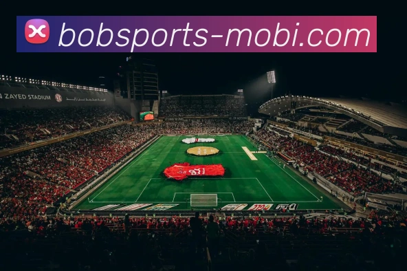 BOB体育APP 封面图